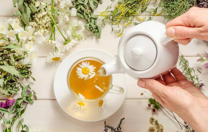 Herbata z babki lancetowatej i estragonu !